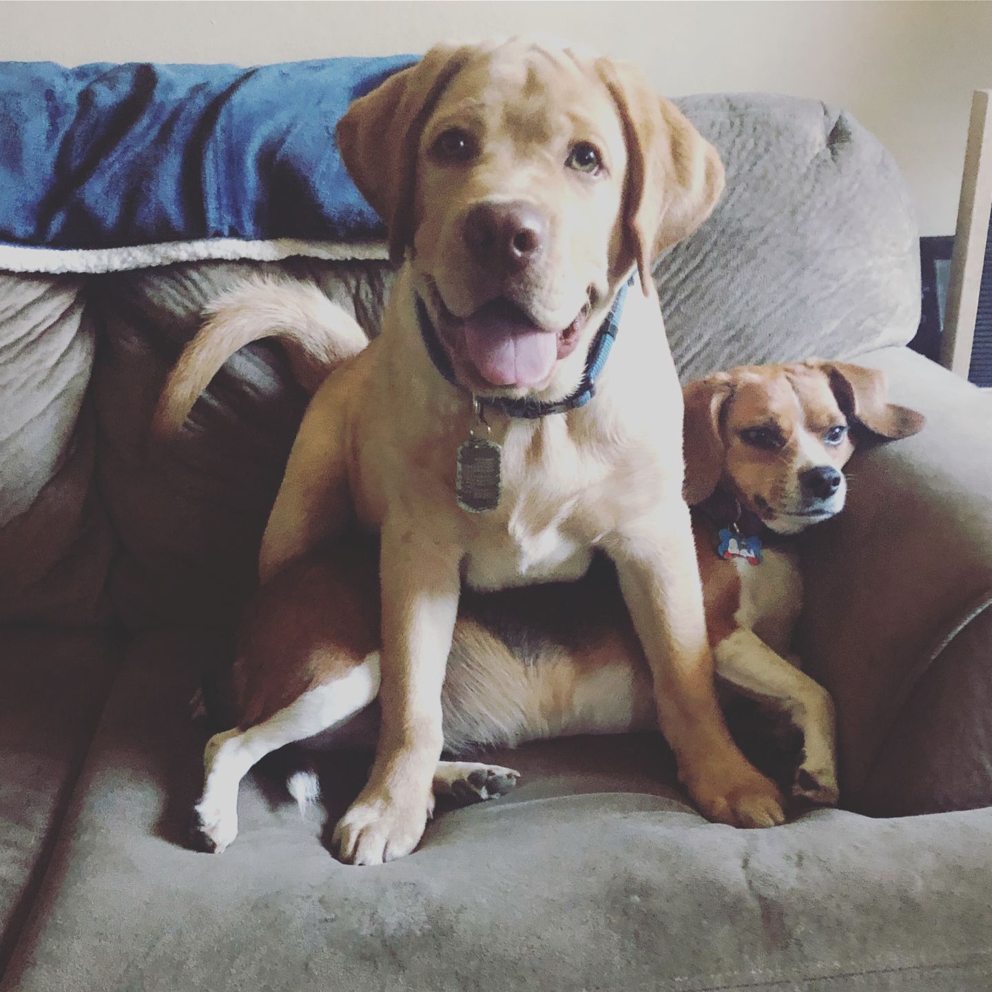Ranger & Lucy